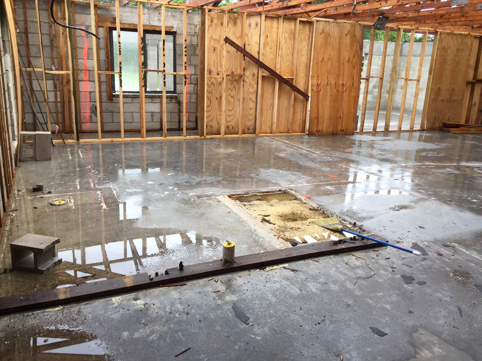 Wednesday Weekly Update 9/30/15 the House house