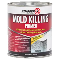 Mold Killer!