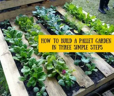 Pallet Garden