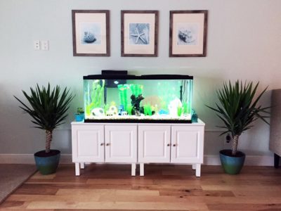 Aquarium