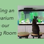 adding and aquarium to our living room