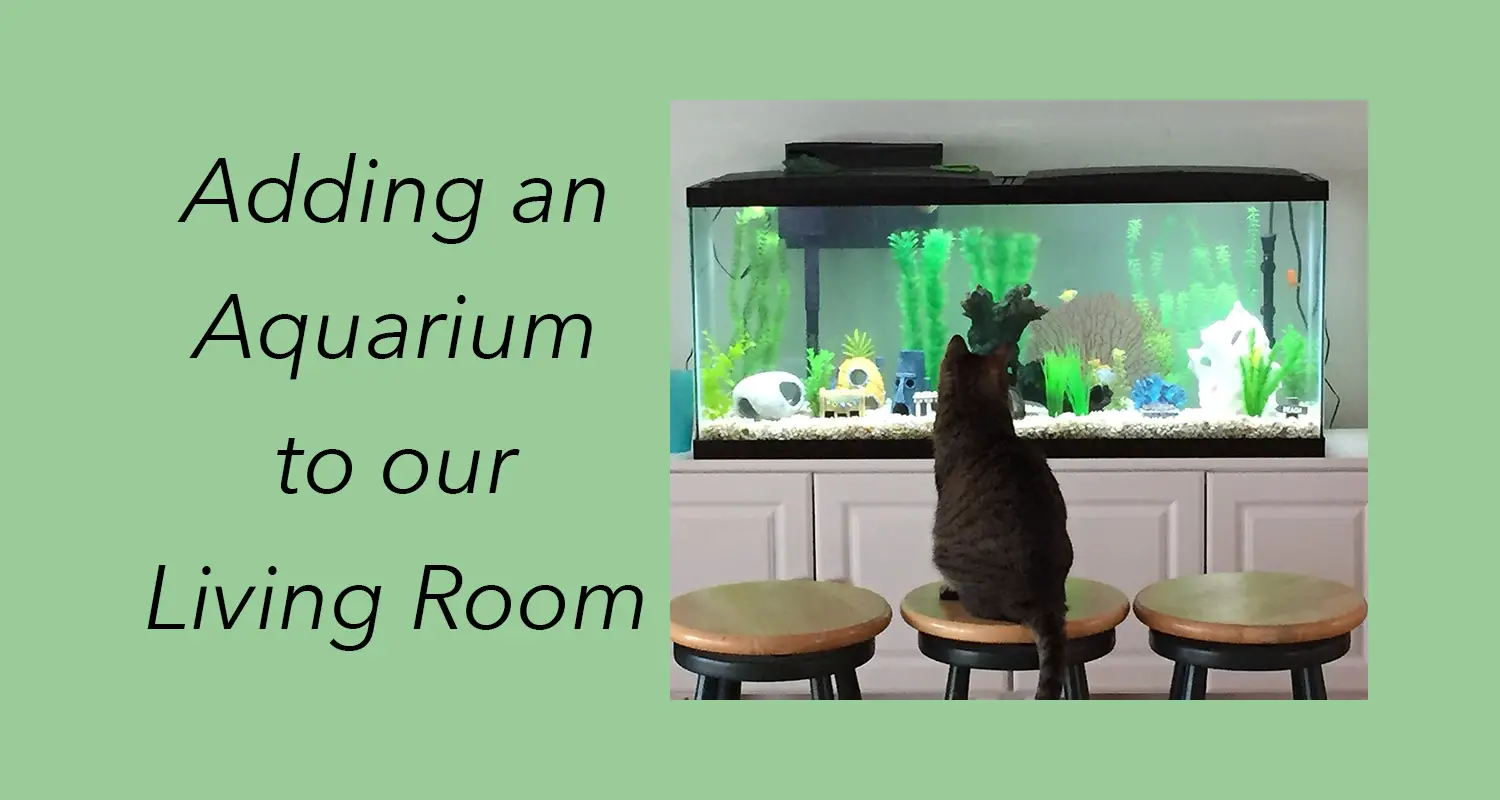 adding and aquarium to our living room