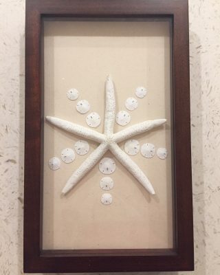 Broken Sand Dollar Project