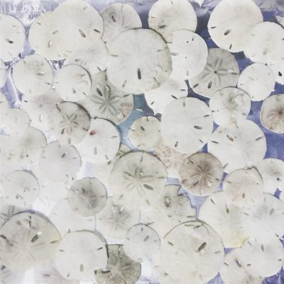 Broken Sand Dollar Project