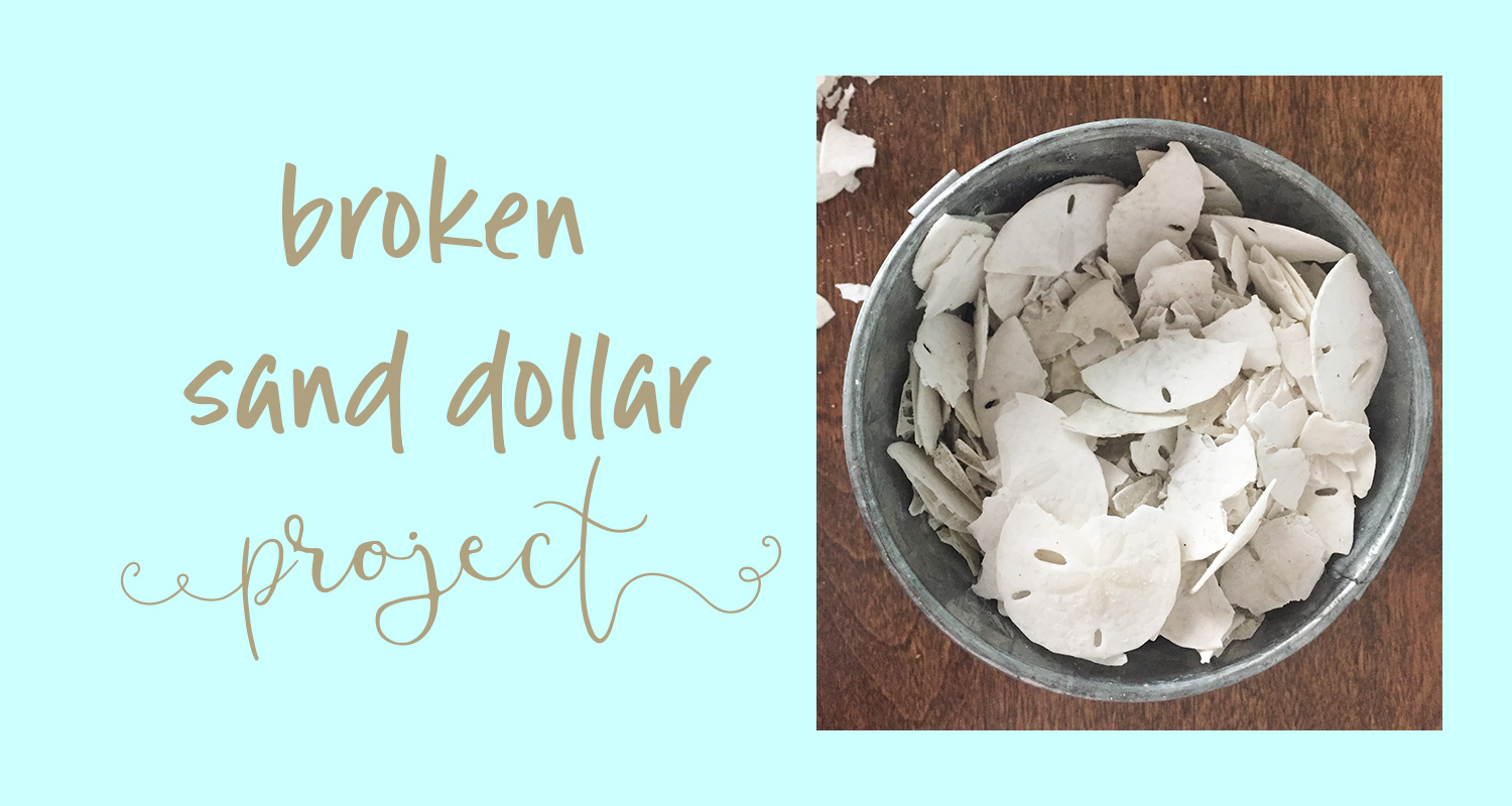 Broken Sand Dollar Project the House house
