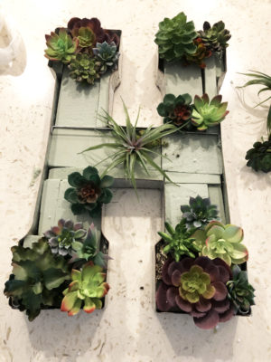 DIY Faux Succulent Monogram Garden