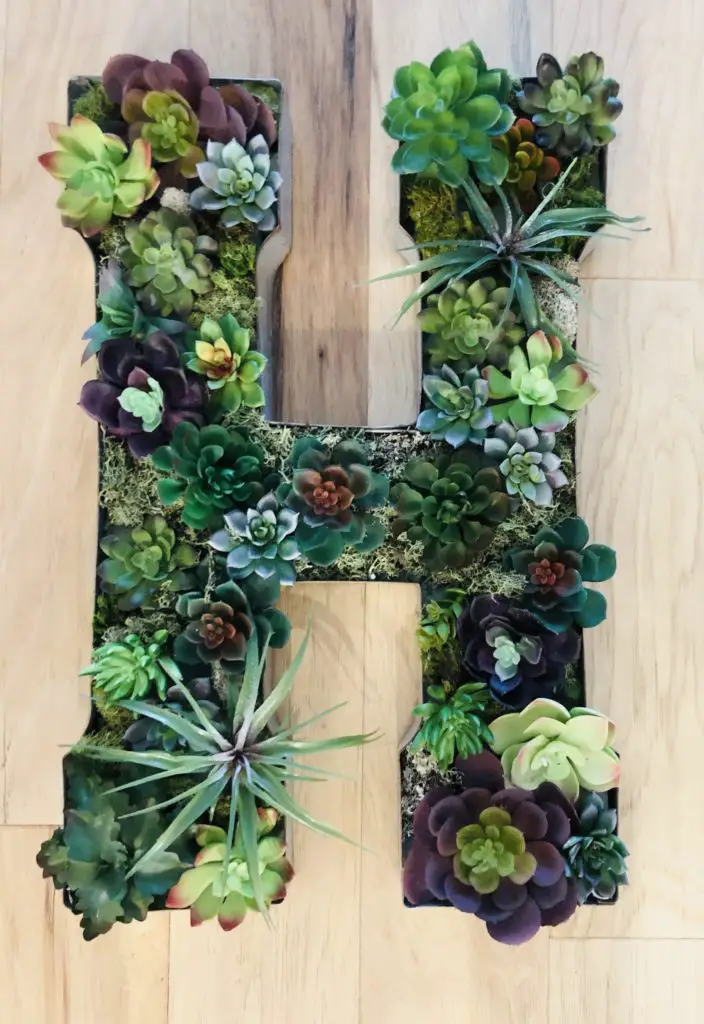 DIY Faux Succulent Monogram Garden