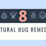 Natural Bug Remedies