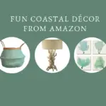 Fun coastal decor finds from amazon