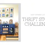 Thrift Store Challenge - September 2019