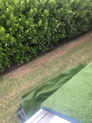 Installing Artificial Turf