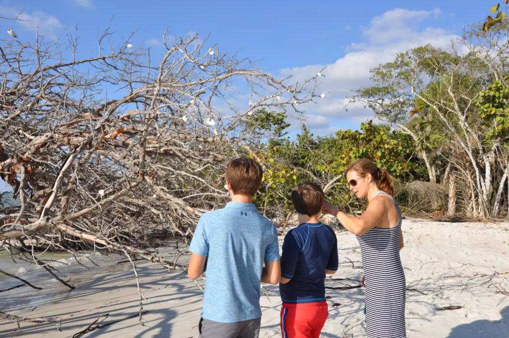 Beach Thanksgiving 2019