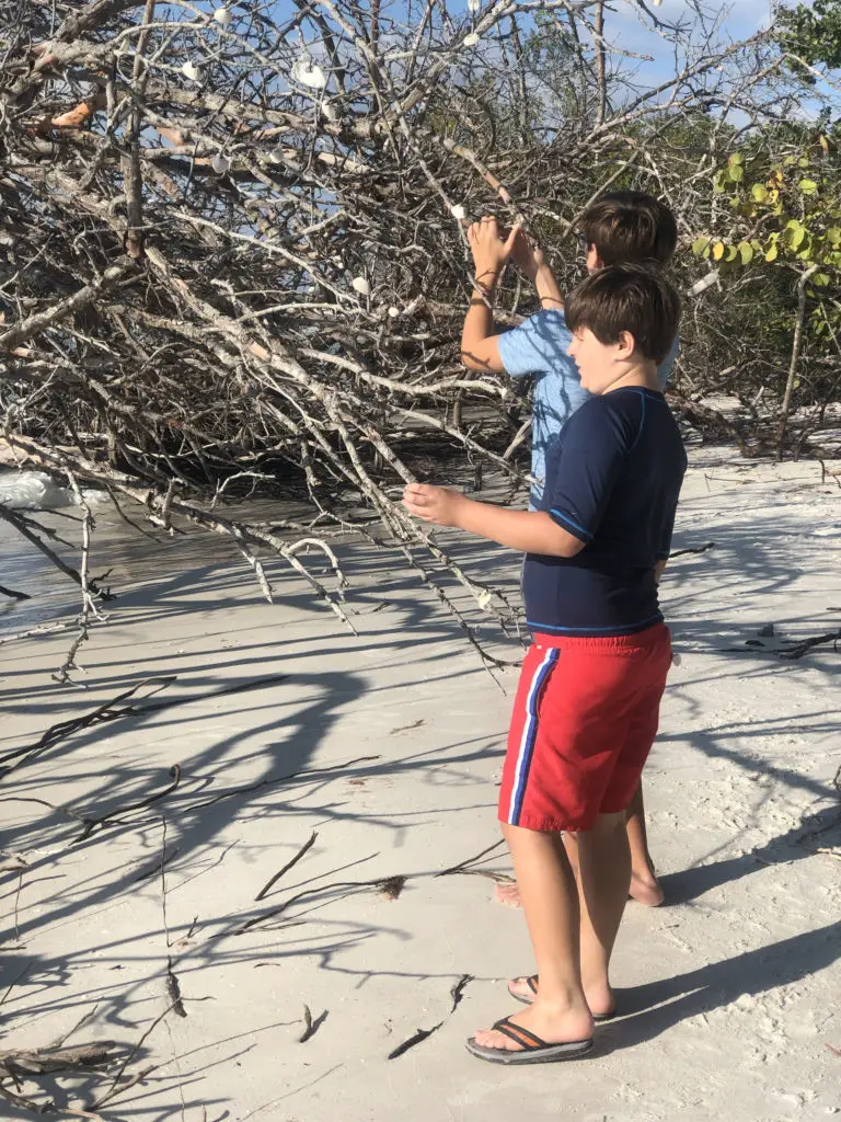 Beach Thanksgiving 2019