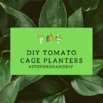 DIY Tomato Cage Planters