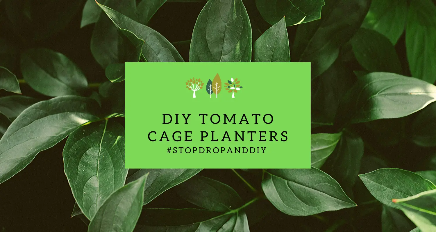 DIY Tomato Cage Planters