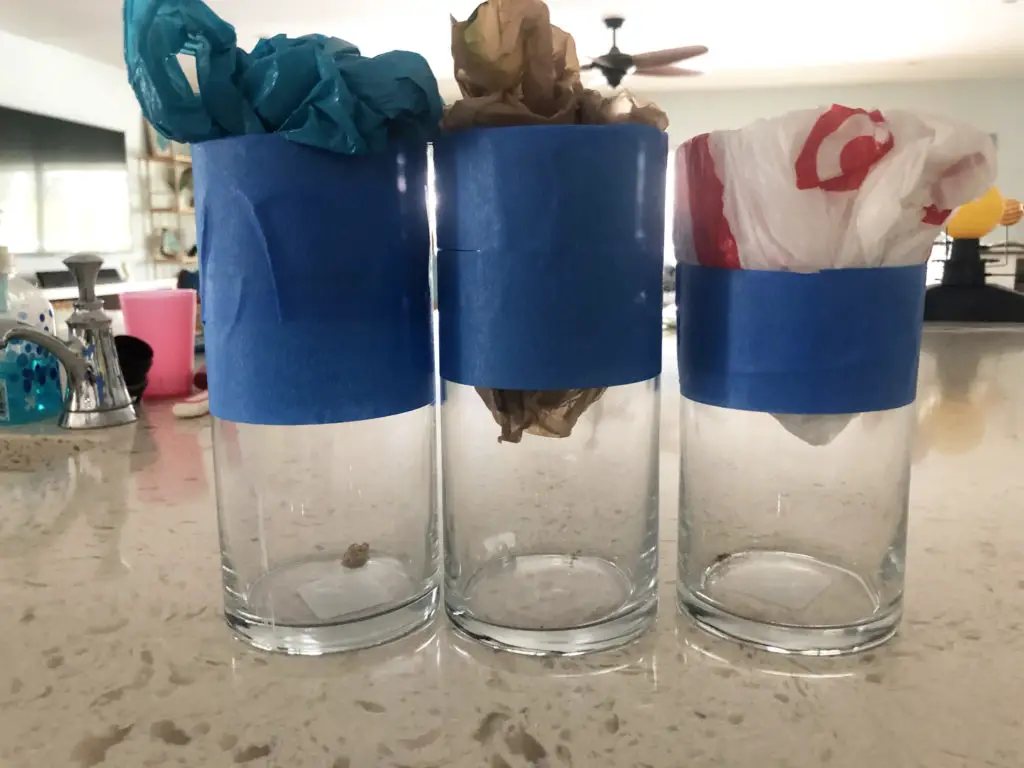 Dollar Tree DIY Gold Dipped Vases