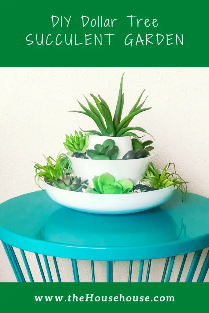 DIY Dollar Tree Succulent Garden