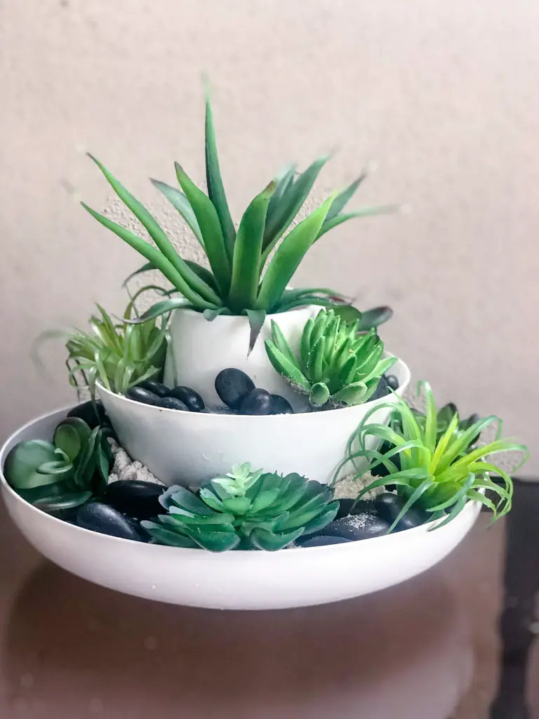 DIY Dollar Tree Succulent Garden