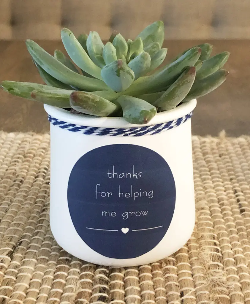 DIY Oui Yogurt Jar Project (it makes a Great Teacher Gift) - the House house