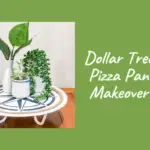 Dollar Tree Pizza Pan