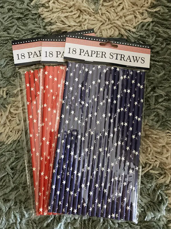 Dollar Tree Patriotic Straw Vase