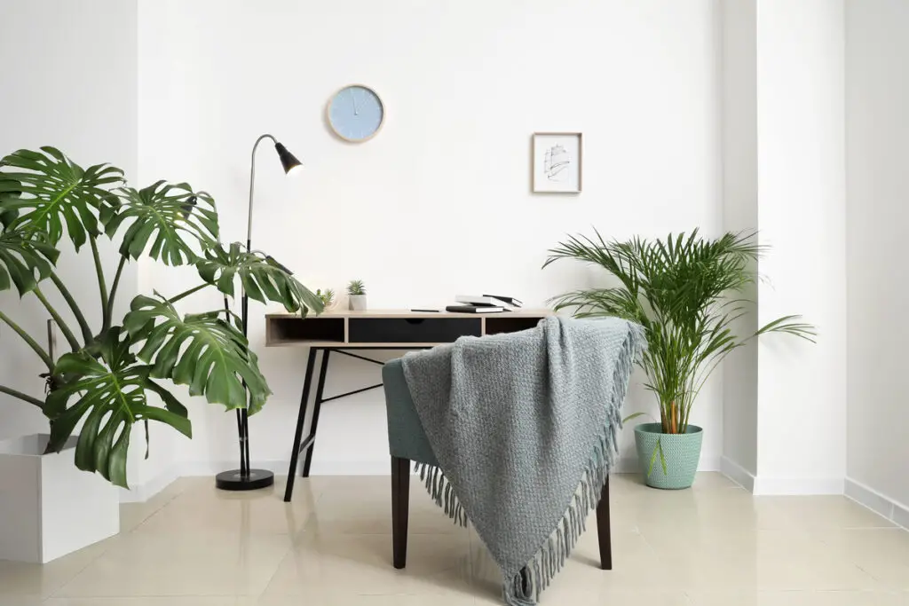 Green tropical plants in interior of room