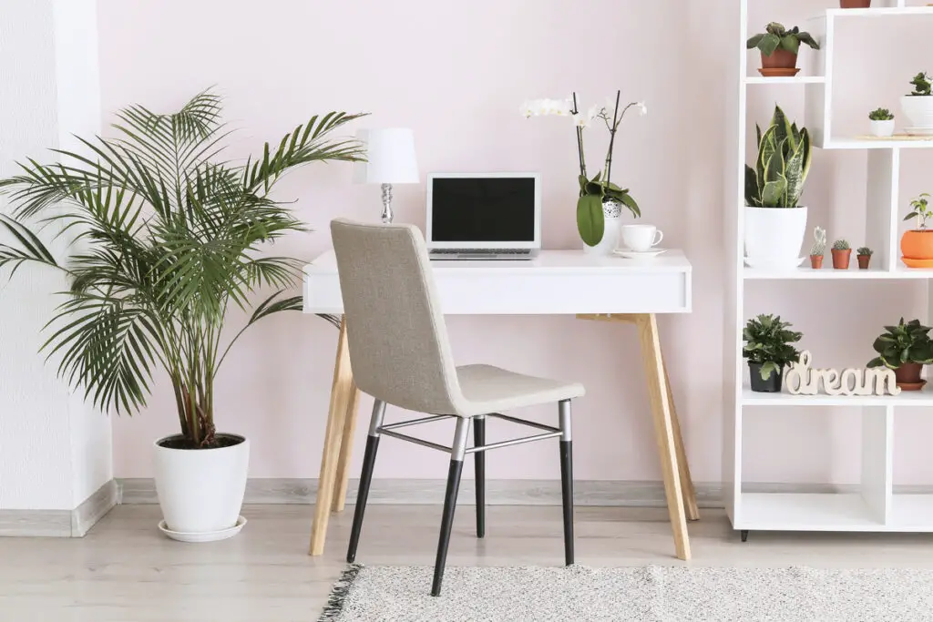 Stylish interior of room with green houseplants and workplace