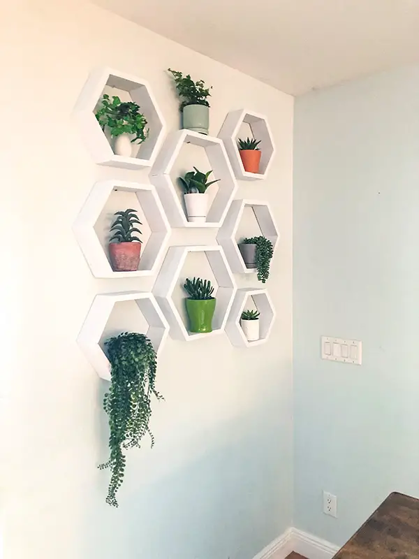 DIY Hexagon Shelves
