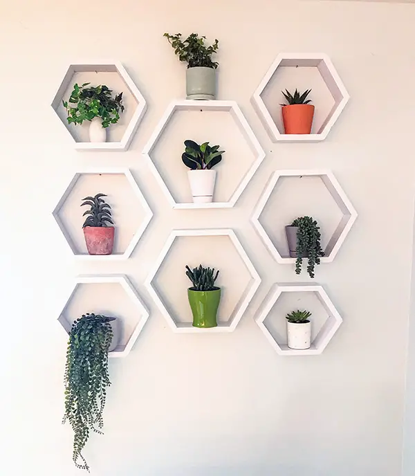 DIY Hexagon Shelves